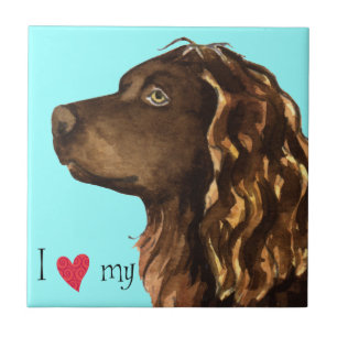 I Love my Boykin Spaniel Tile