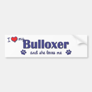 I Love My Bulloxer (Female Dog) Bumper Sticker