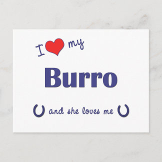 I Love My Burro (Female Burro) Postcard