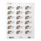 I Love my CALICO cat