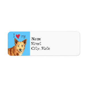 I Love my Canaan Dog