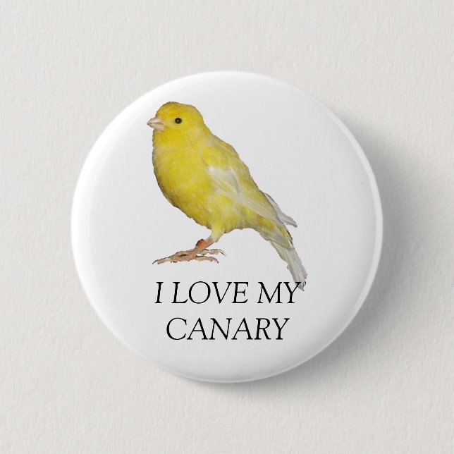 I LOVE MY CANARY Button (Front)