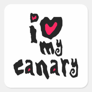 I Love My Canary Square Sticker