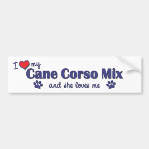 I Love My Cane Corso Mix (Female Dog) Bumper Sticker
