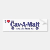 I Love My Cav-A-Malt (Female Dog)
