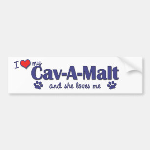 I Love My Cav-A-Malt (Female Dog) Bumper Sticker