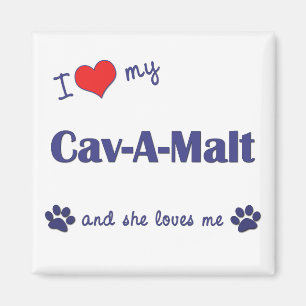I Love My Cav-A-Malt (Female Dog) Magnet