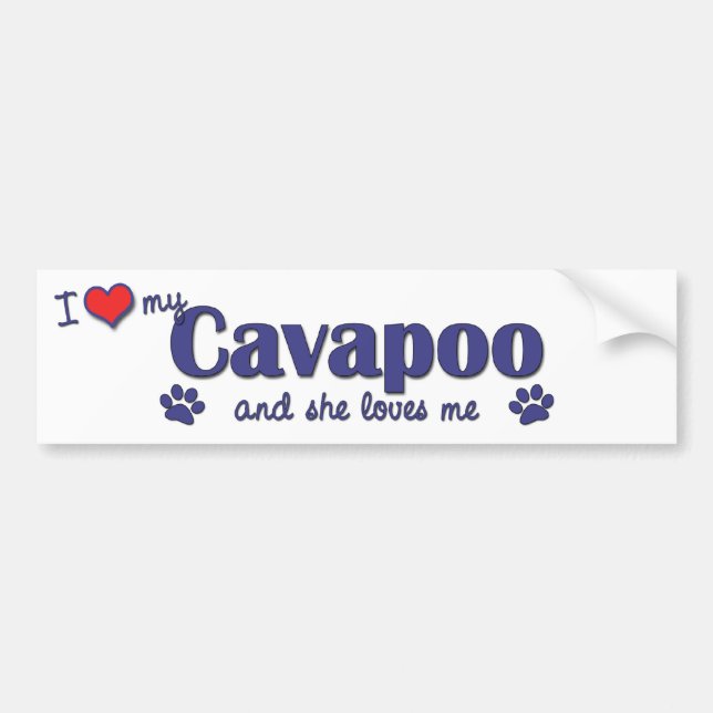 I Love My Cavapoo (Female Dog) Bumper Sticker (Front)