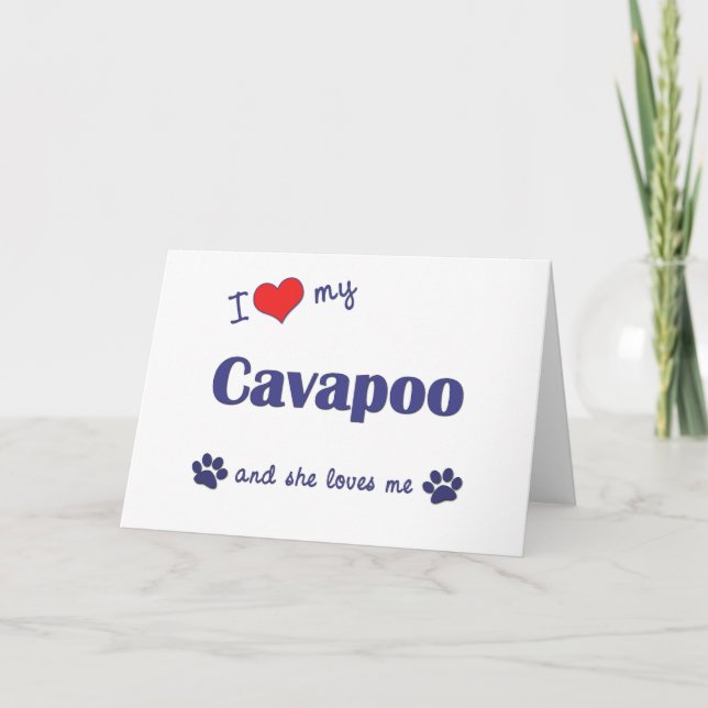 I Love My Cavapoo (Female Dog) Card (Front)