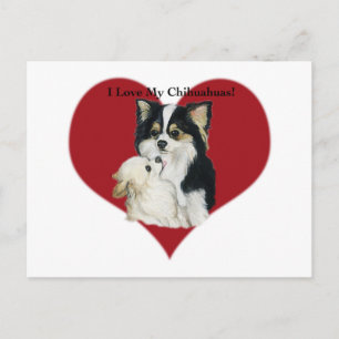 " I Love My Chhihuahua" Dog Art Postcard
