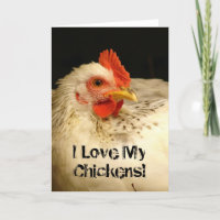 I Love My Chickens!