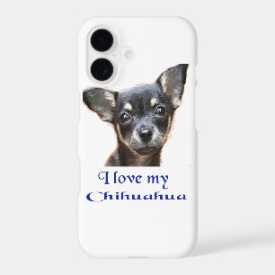 I love my Chihuahua
