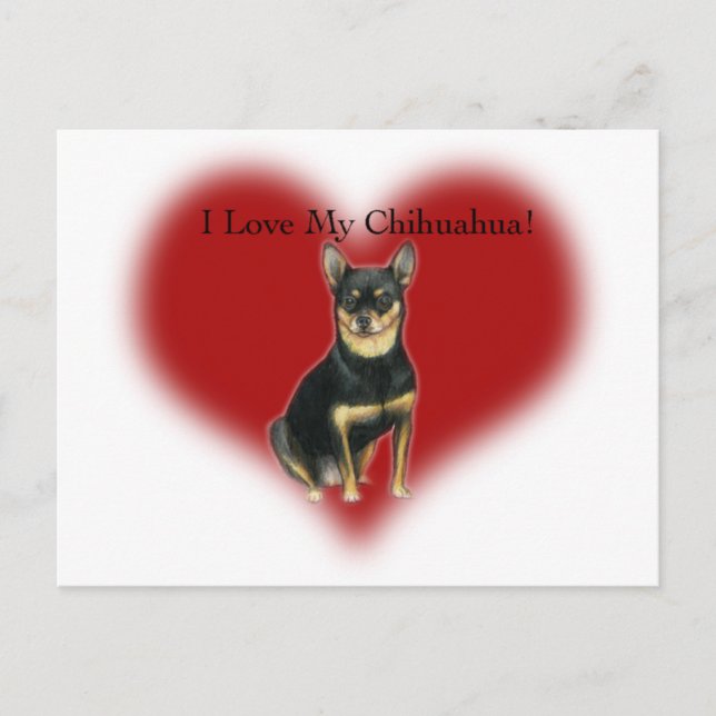 "I Love My Chihuahua" Dog Art Postcard (Front)