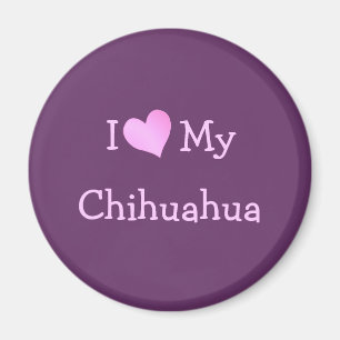 I Love My Chihuahua Magnet