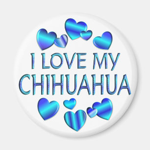 I Love My Chihuahua Magnet
