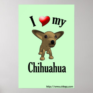 I Love My Chihuahua Poster