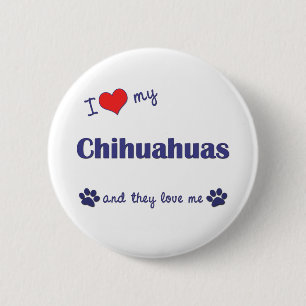 I Love My Chihuahuas (Multiple Dogs) 6 Cm Round Badge