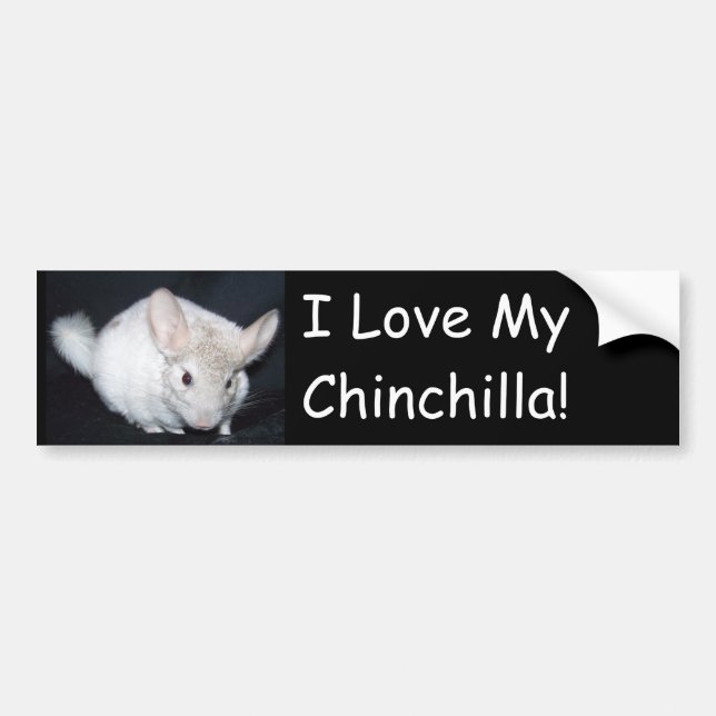 I love my chinchillah bumper sticker (Front)