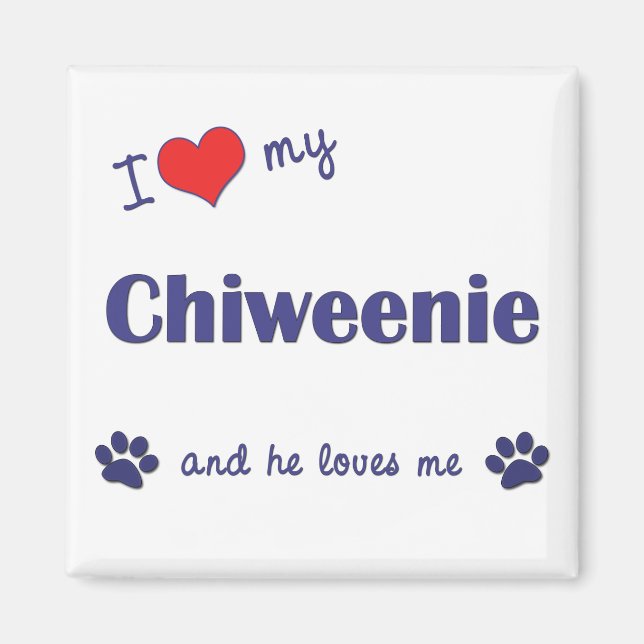 I Love My Chiweenie (Male Dog) Magnet (Front)