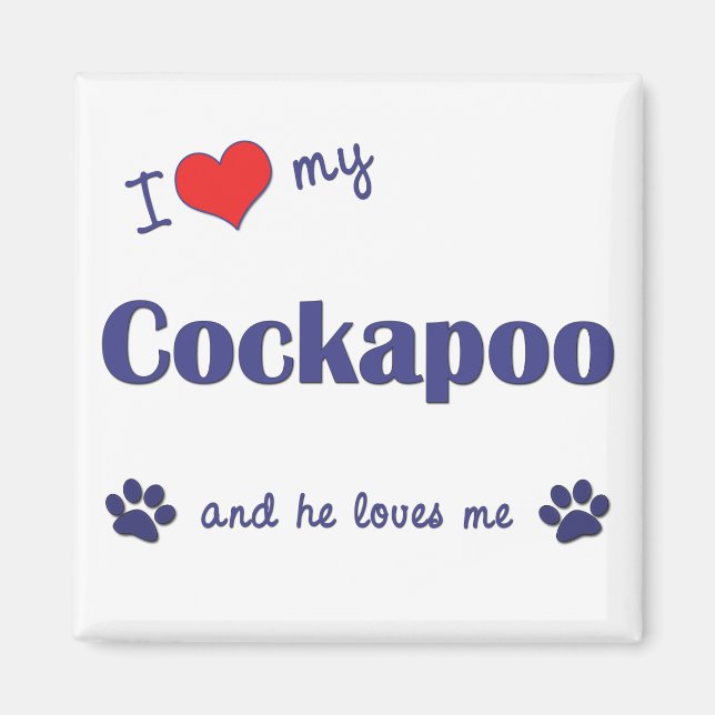 I Love My Cockapoo (Male Dog) Magnet (Front)