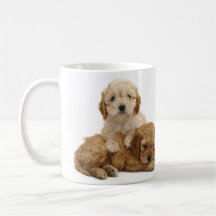 I love my cockapoo mug!
