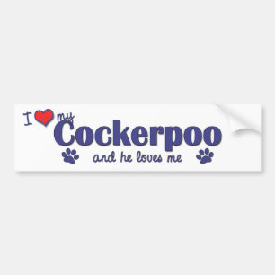 I Love My Cockerpoo (Male Dog) Bumper Sticker