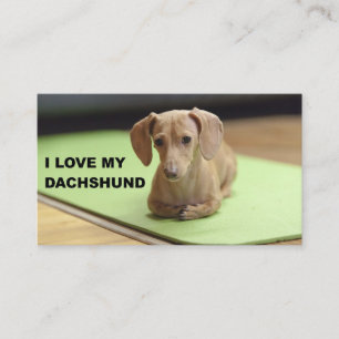 I Love My Cream Dachshund with picture Business Card