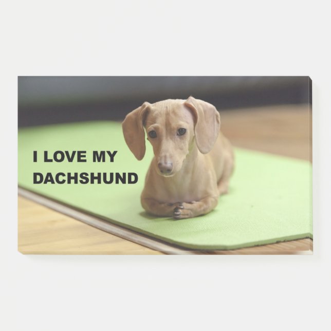 I Love My Cream Dachshund with picture Post-it Notes (Front)