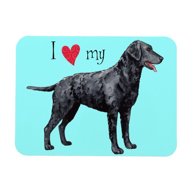 I Love my Curly-Coated Retriever Magnet (Horizontal)