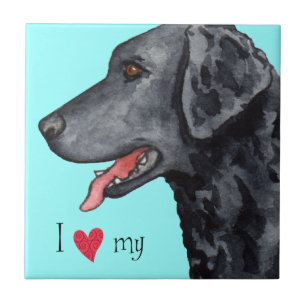 I Love my Curly-Coated Retriever Tile