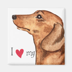 I Love my Dachshund Magnet