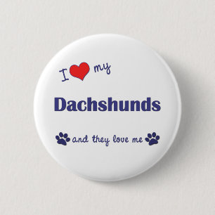 I Love My Dachshunds (Many Dogs) 6 Cm Round Badge