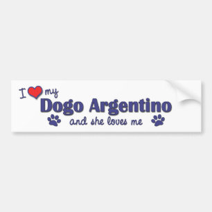 I Love My Dogo Argentino (Female Dog) Bumper Sticker