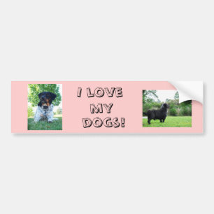 I love my dogs bumper sticker
