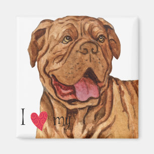I Love my Dogue de Bordeaux Magnet
