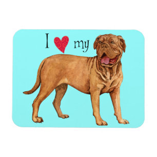 I Love my Dogue de Bordeaux Magnet