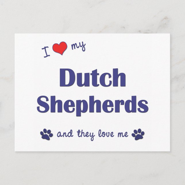 I Love My Dutch Shepherds (Multiple Dogs) Postcard (Front)