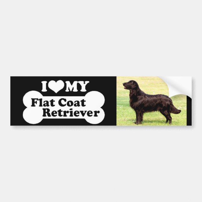 I love my Flat Coated Retriever Bumper Sticker (Front)