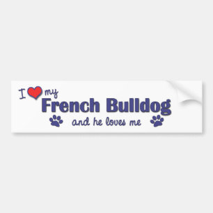 I Love My French Bulldog (Male Dog) Bumper Sticker