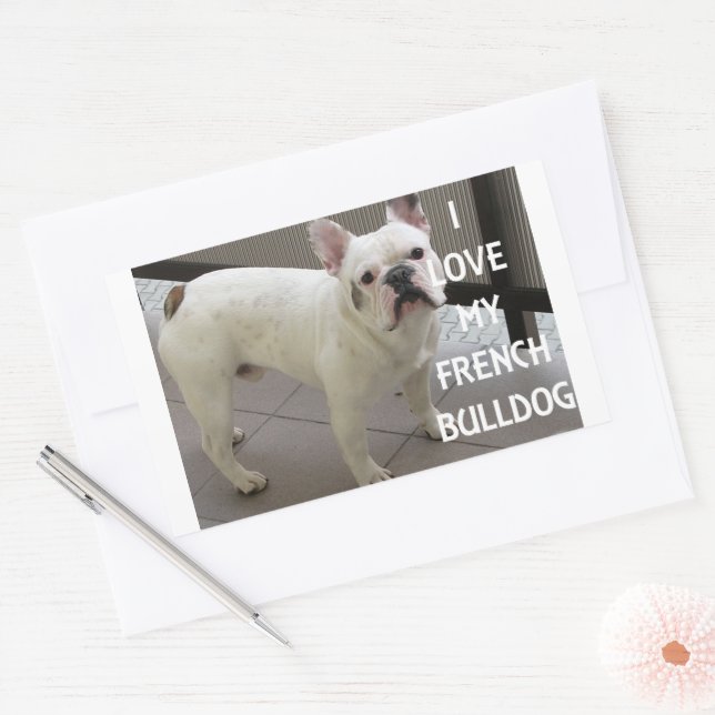 I Love My French Bulldog Rectangular Sticker (Envelope)