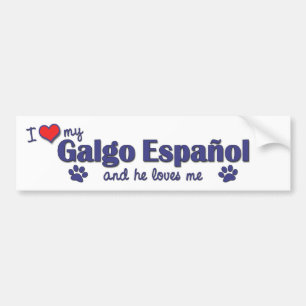I Love My Galgo Espanol (Male Dog) Bumper Sticker