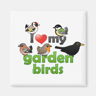 I Love My Garden Birds Magnet