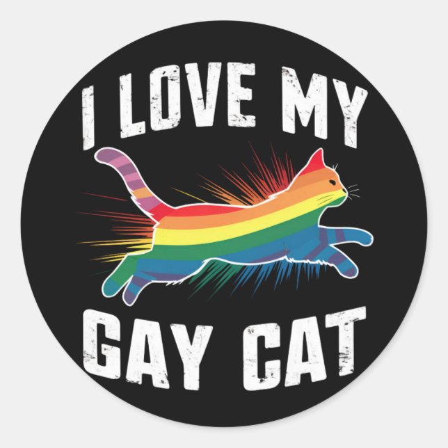 I Love My Gay Cat Funny Rainbow Pride Lgbt Classic Round Sticker (Front)