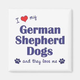 I Love My German Shepherds (Many Dogs) Magnet