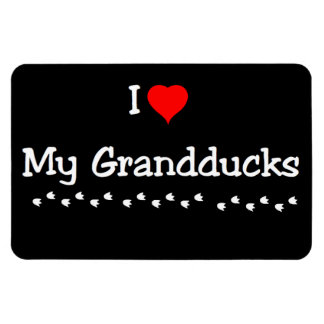 I Love My Grandducks Magnet