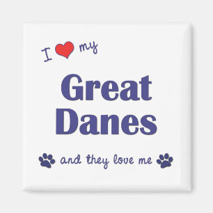 I Love My Great Danes (Multiple Dogs) Magnet