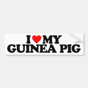 I LOVE MY GUINEA PIG BUMPER STICKER