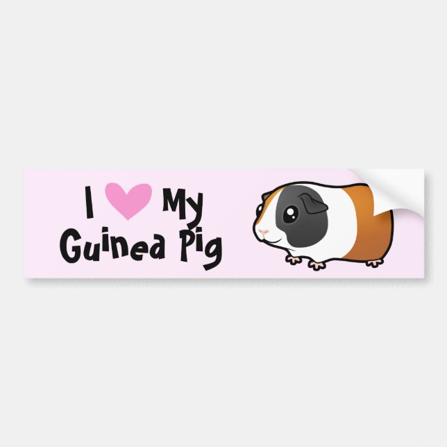 I Love My Guinea Pig / Cavy (smooth hair) Bumper Sticker (Front)