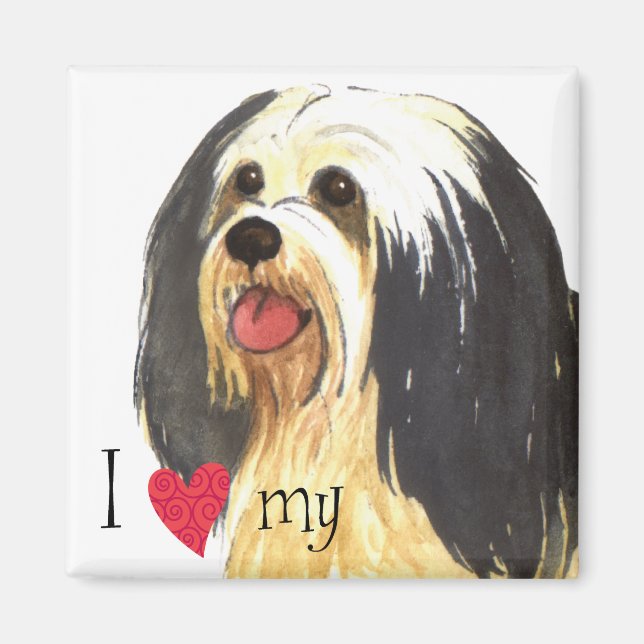 I Love my Havanese Magnet (Front)
