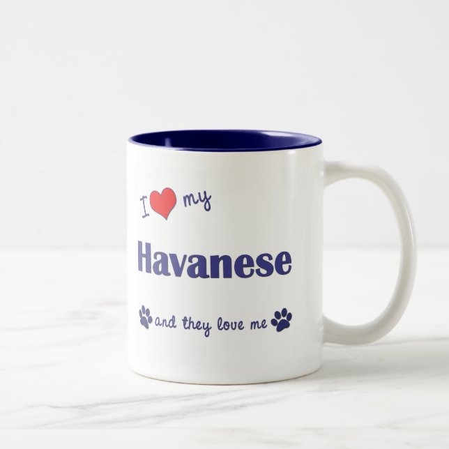 I Love My Havanese (Multiple Dogs) Two-Tone Coffee Mug (Right)